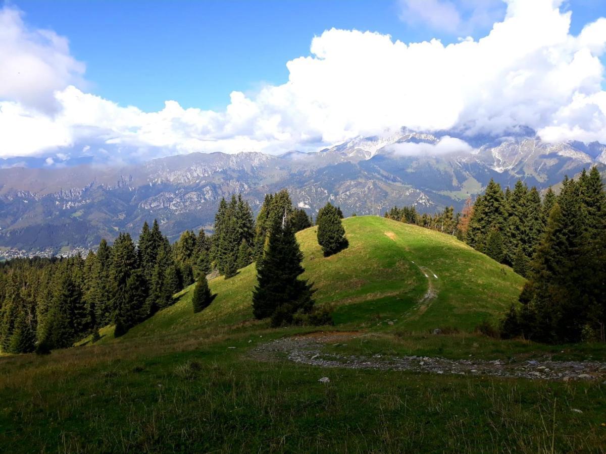 Appartamento 181 - Casa Arcobaleno Tra Le Alpi, Piste Da Sci A 15 Minuti Castione della Presolana Esterno foto